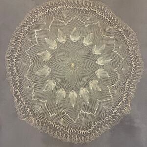 Vintage Embroider Net Mesh Lace Large Round Doily Vanity Table Topper Linen